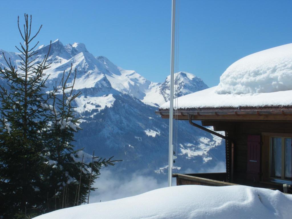 Chalet Blatti Hasliberg Exteriör bild